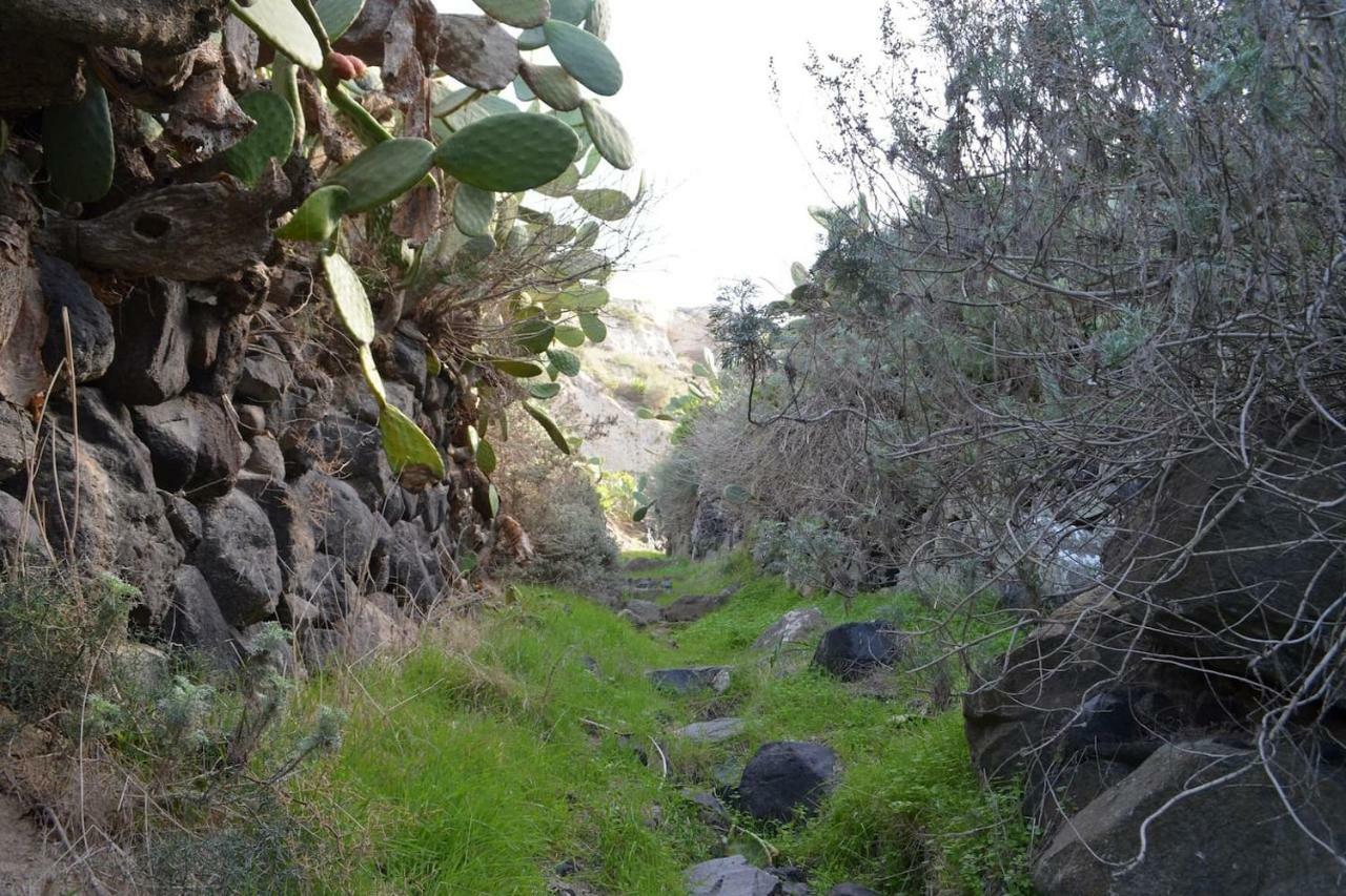 Villa Agrilia Secluded Cave House Thirasia Exterior foto